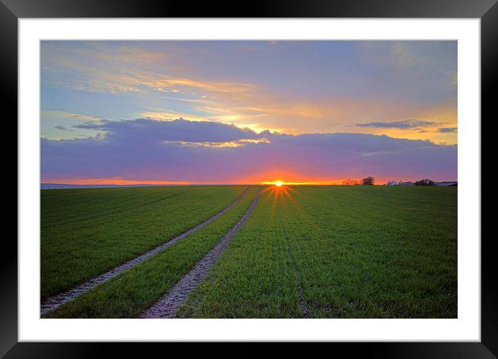 Farmland Sunset Framed Mounted Print by Darren Galpin