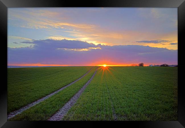 Farmland Sunset Framed Print by Darren Galpin