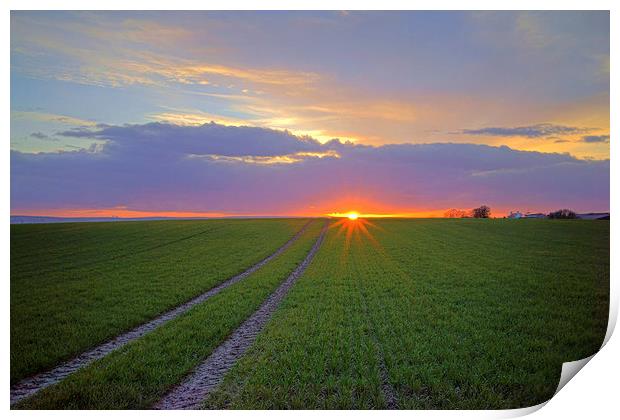 Farmland Sunset Print by Darren Galpin