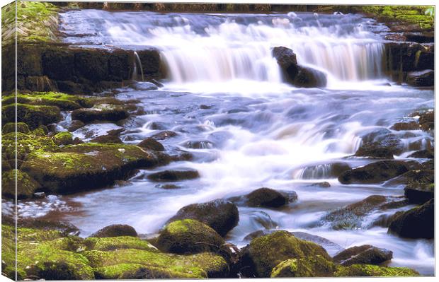 Hardcastle Crags Canvas Print by David Yeaman