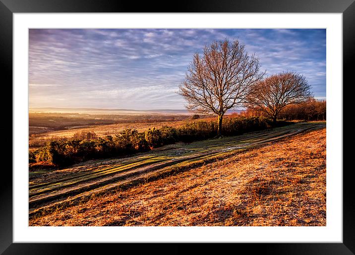 Morning Colour Framed Mounted Print by sam moore