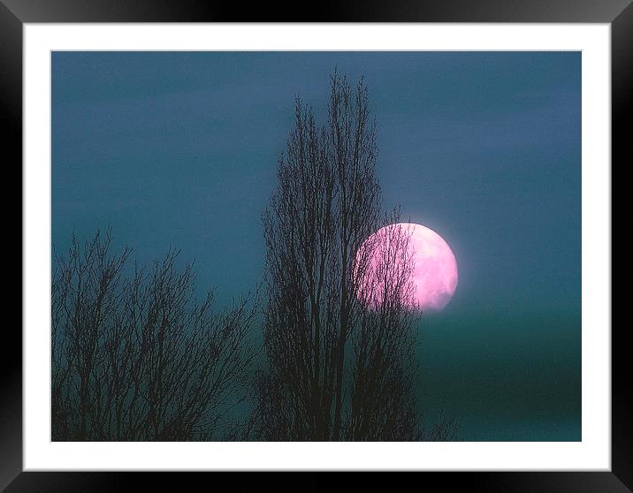 Pinky Moon Framed Mounted Print by Louise Godwin