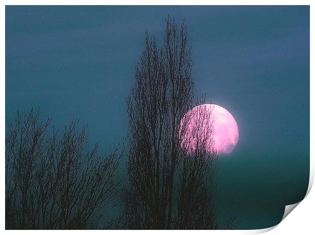 Pinky Moon Print by Louise Godwin