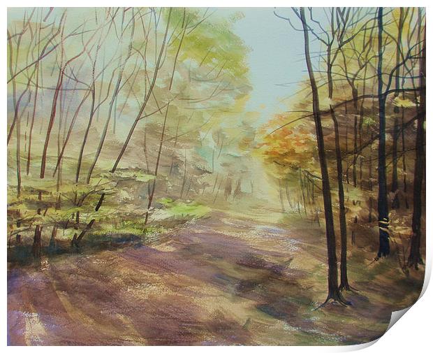 Ashridge Woods Print by Martin Howard