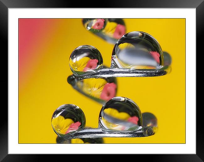 Spiral , drops & flower-2 Framed Print by Jovan Miric
