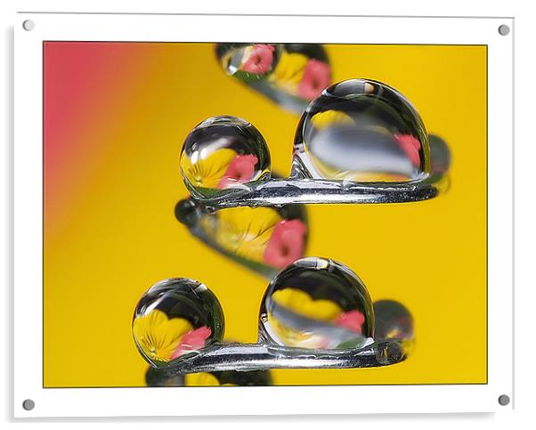 Spiral , drops & flower-2 Acrylic by Jovan Miric