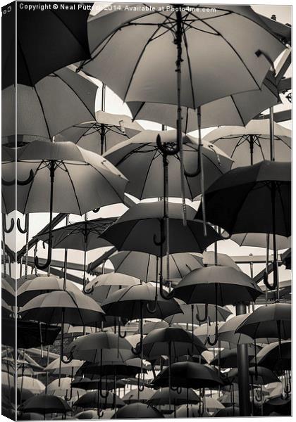 Never without a brolly Canvas Print by Neal P
