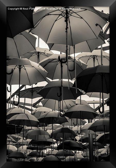 Never without a brolly Framed Print by Neal P