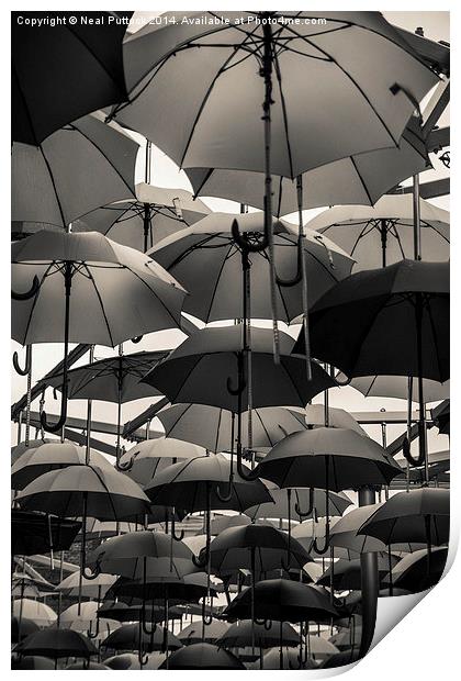 Never without a brolly Print by Neal P