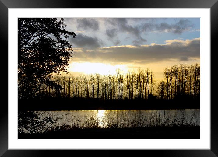 Lake Sunset Framed Mounted Print by Rob Seales