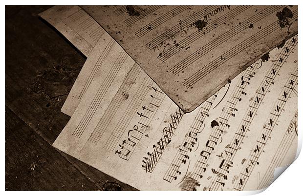 Music sheet Print by Luis Lajas