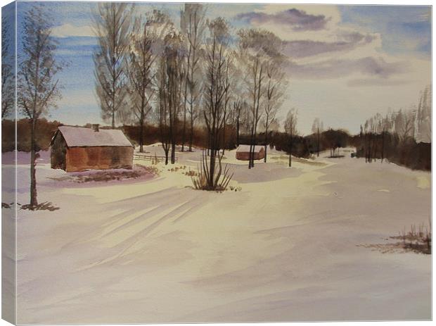 Snow In Solbrinken Canvas Print by Martin Howard