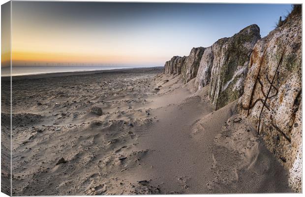 Sea Defences at Hemsby Canvas Print by Stephen Mole