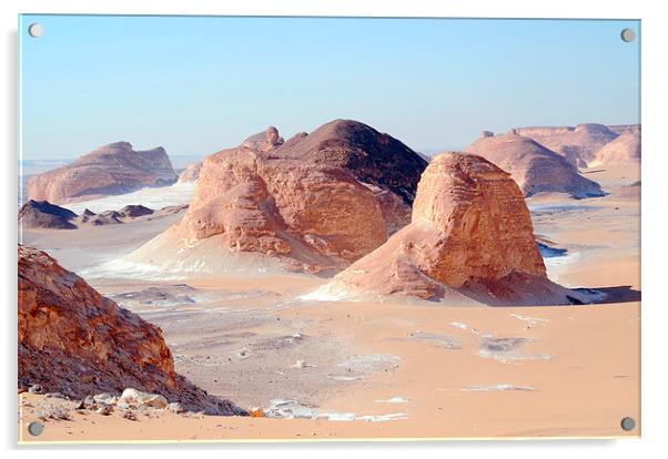 The White Desert, Acrylic by Jacqueline Burrell
