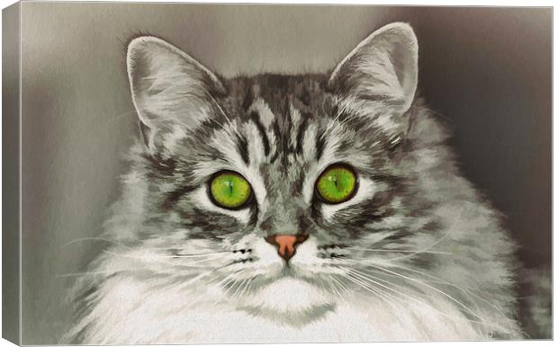 I am looking at you Canvas Print by Susan Sanger