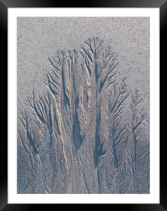 Sand Tree Copse Framed Mounted Print by Jennifer Henderson