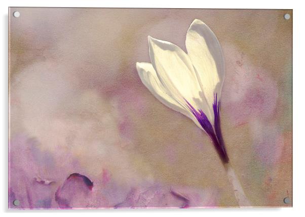 Spring Hues Acrylic by Dawn Cox