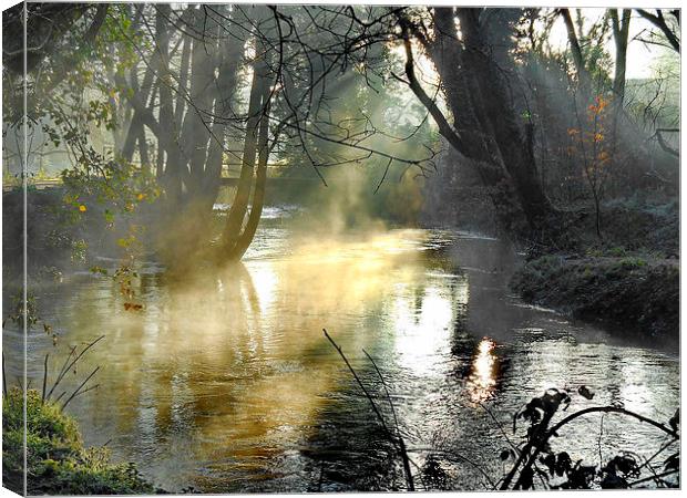 Sunrise On The WEY Canvas Print by Mark  F Banks