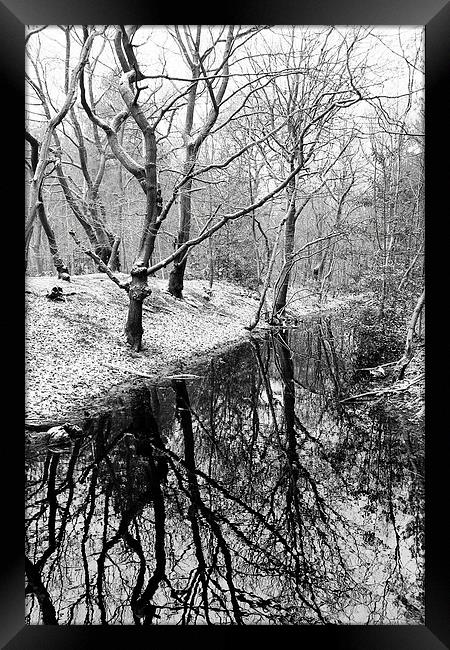 Joydens Wood in Winter Framed Print by Richard Cruttwell
