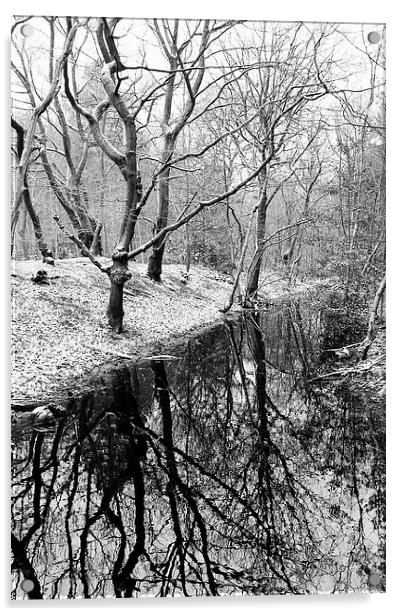 Joydens Wood in Winter Acrylic by Richard Cruttwell