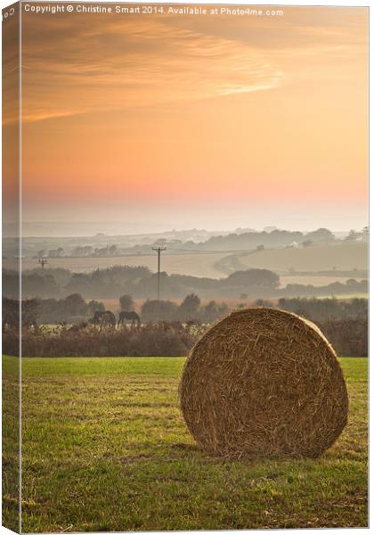 A Golden Sunrise over Cornwall Canvas Print by Christine Smart