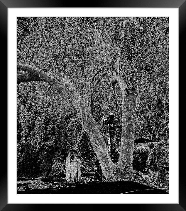 Old Clifton graveyard #2 Framed Mounted Print by Pete Moyes