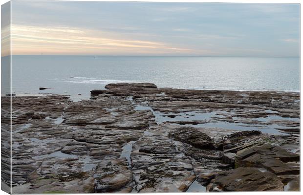 Rock Pools Canvas Print by Michael Ross
