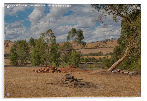 Landscape at Strath Creek, Victoria Acrylic by Pauline Tims