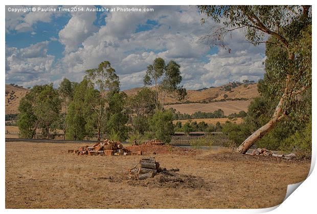 Landscape at Strath Creek, Victoria Print by Pauline Tims