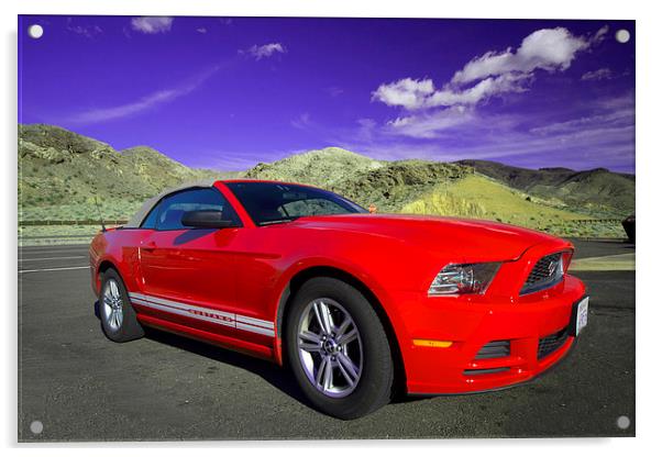 Mustang Coupe Acrylic by Rob Hawkins