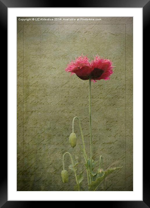 Standing Tall Framed Mounted Print by LIZ Alderdice