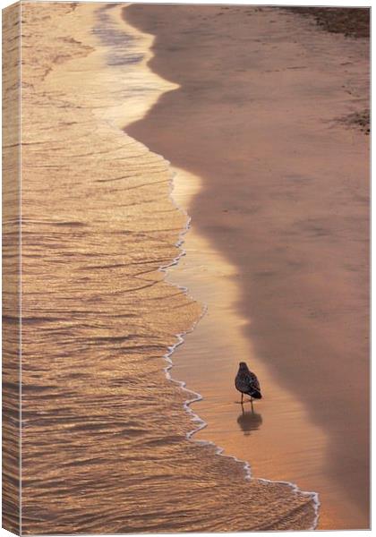 Beach at St Ives Canvas Print by Richard Cruttwell