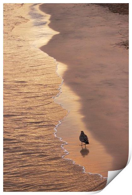 Beach at St Ives Print by Richard Cruttwell