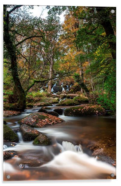 Below The Falls. Acrylic by Tracey Yeo