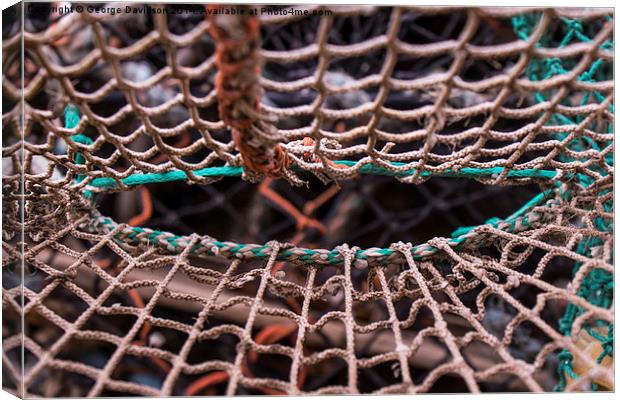 The Lobsters Web Canvas Print by George Davidson