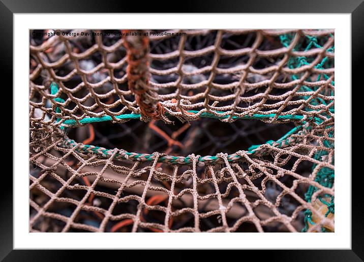 The Lobsters Web Framed Mounted Print by George Davidson