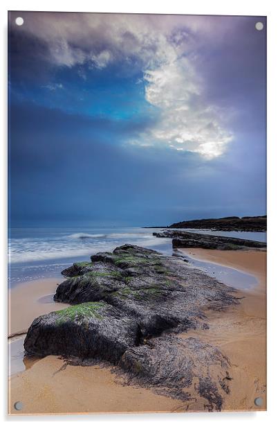Rocks at Tyninghame Beach Acrylic by Keith Thorburn EFIAP/b