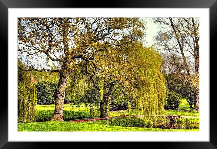 WEEPING WILLOW Framed Mounted Print by len milner