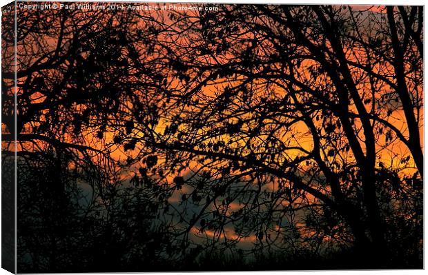 Telford Sunset Canvas Print by Paul Williams