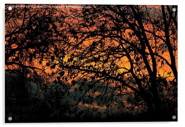 Telford Sunset Acrylic by Paul Williams