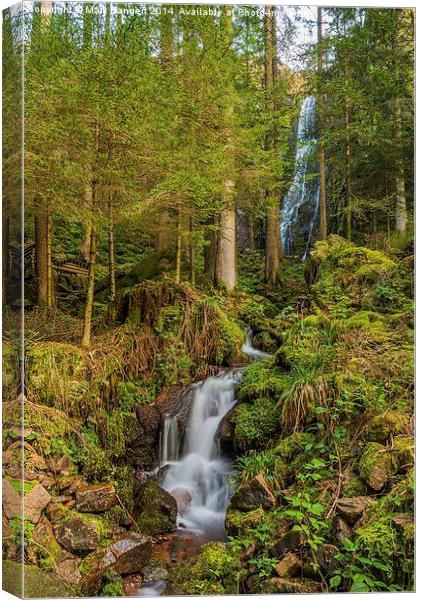 Burgbach Waterfall, Black Forest, Germany Canvas Print by Mark Bangert