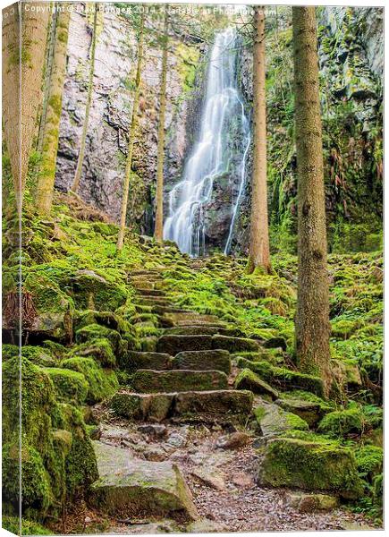 Burgbach Waterfall, Black Forest, Germany 2 Canvas Print by Mark Bangert