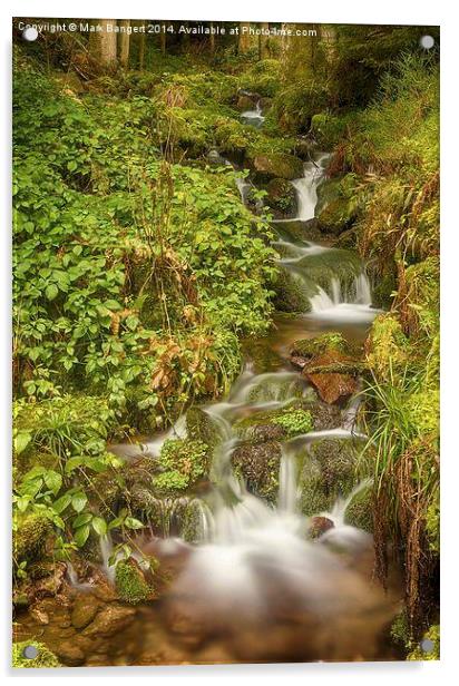 Burgbach Waterfall, Black Forest, Germany 4 Acrylic by Mark Bangert