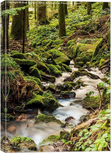 Burgbach Waterfall, Black Forest, Germany 6 Canvas Print by Mark Bangert