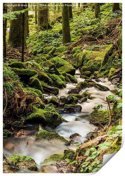 Burgbach Waterfall, Black Forest, Germany 6 Print by Mark Bangert