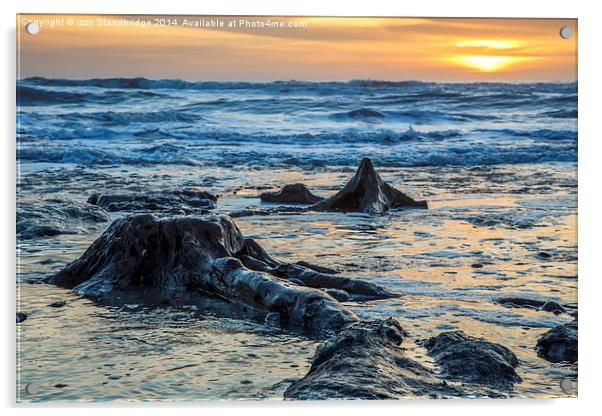 Sunken forest, Borth sunset Acrylic by Izzy Standbridge