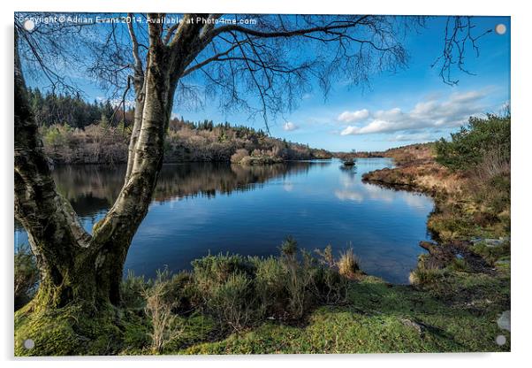 Lake Elsi Betws-y-Coed Wales  Acrylic by Adrian Evans