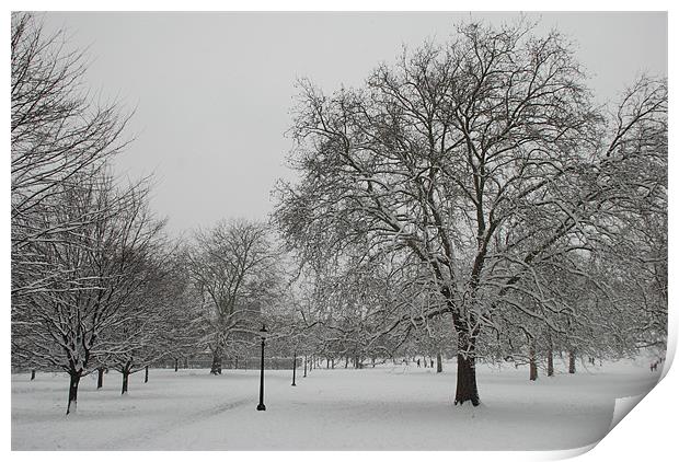 Primrose Hill In The Snow Print by Liam Kearney