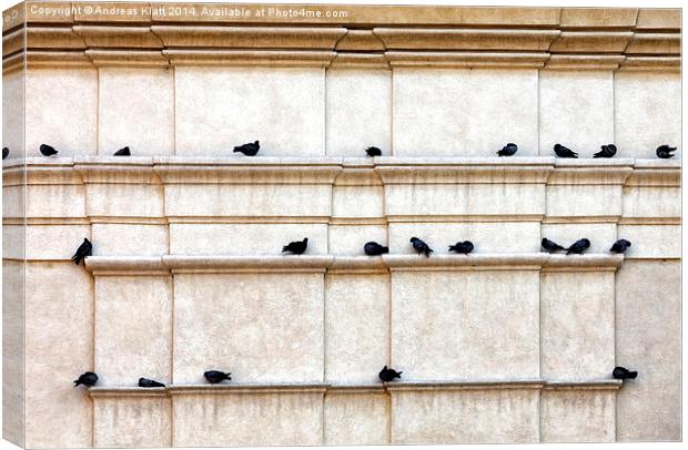 Pigeon post Canvas Print by Andreas Klatt
