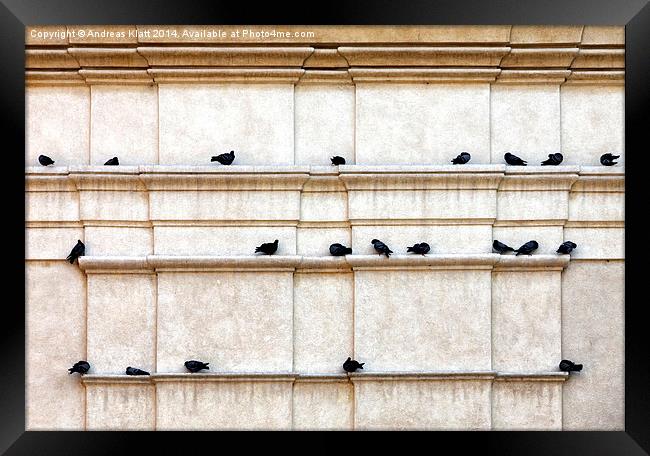 Pigeon post Framed Print by Andreas Klatt